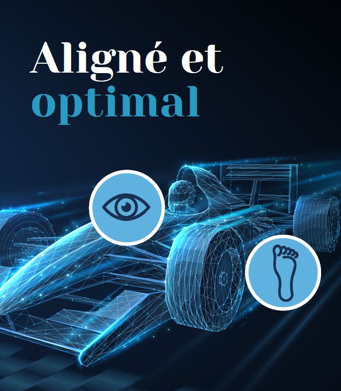 Aligné et optimal eBook